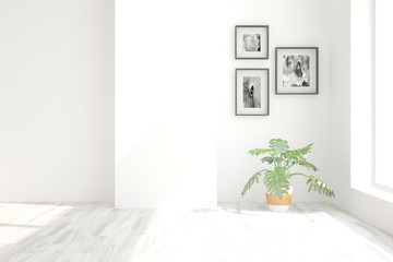 White modern empty room. Scandinavian interior design. 3D illustration