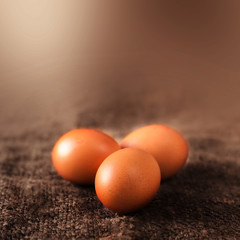  Eggs on wooden  background closeup
