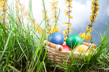 Colorful Easter eggs in a basket