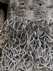 Root Sculpture. Nek Chand Sculpture Park, Chandigarh, India.