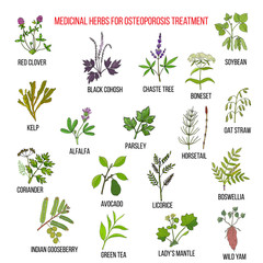 Best medicinal herbs for osteoporosis