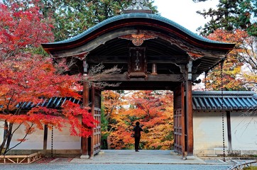 Beautiful scenery of fiery maple trees & a roofed gate of traditional Japanese style at the entrance to Nison-in Temple, a famous Buddhist Temple in Arashiyama, Kyoto Japan, in colorful autumn season