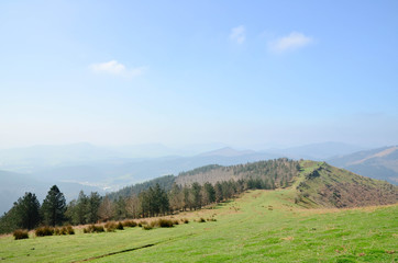 Fototapeta na wymiar Forest road, Alava, Basque Country