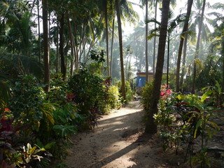 Coastal village, Goa