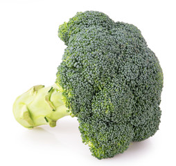 One broccoli close on a white background