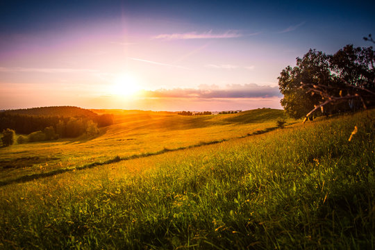 Sonnenuntergang &uuml;ber Wiese