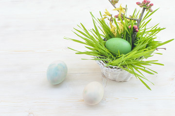 Easter decoration. Easter eggs and flowers on a white wooden table background.