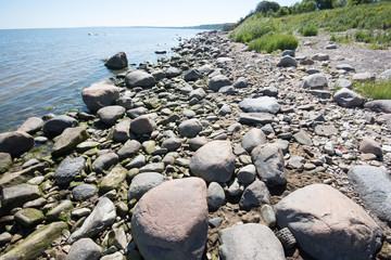 Baltic Sea coast in the summer