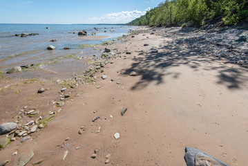 Baltic Sea coast in the summer