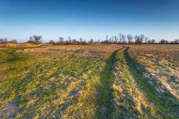 Naklejka premium Polish landscape. Spring in Warta Landscape Park, Poland.