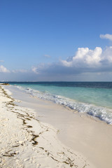 Beautiful beach of the Caribbean sea. Tropical wallpaper. Vertical image.