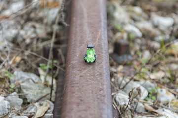 Green steel toy train in a blurred background, conceptual photo