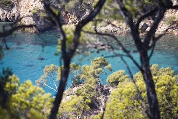 crique avec de l'eau turquoise au milieu des rochers et des pins