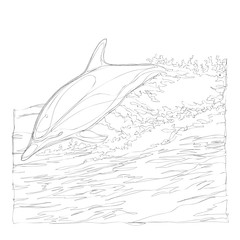 beautiful dolphins line art continuous line drawing
