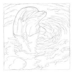 beautiful dolphins line art continuous line drawing