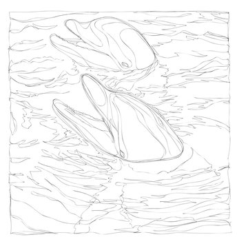 beautiful dolphins line art continuous line drawing