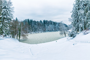 Frozen lake in Zagorje, Croatia