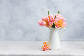 fresh pink and yellow tulips in white vase on gray background
