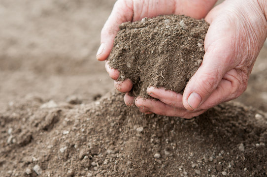 Soil for plants