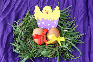 easter decoration: yellow eggs and hand made hatched chicken in eggshell in green grass twigs nest on purple background with copy space