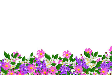 Obraz na płótnie Canvas Colorful spring flowers