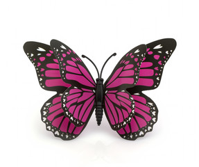 Beautiful pink with a black butterfly on a white background