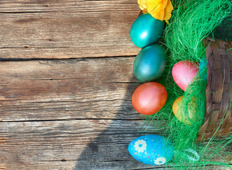 Easter eggs in nest on old wooden background with yellow flower