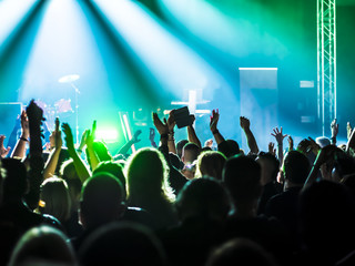 cheering crowd at a rock concert