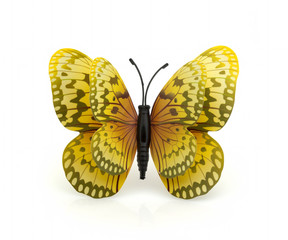 Beautiful yellow butterfly on a white background