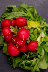 Radieschen ungewaschen