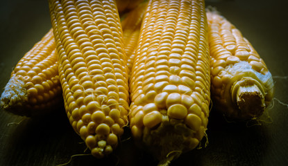 Peeled off raw sweet corns ready to boil