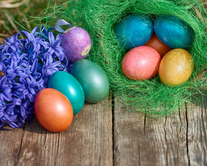 Easter eggs in nest on old wooden background with blue hyacinths flower