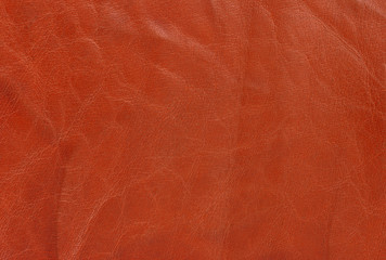 Fototapeta premium Leather texture background