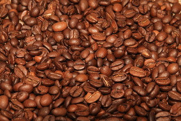 Roasted Coffee Beans