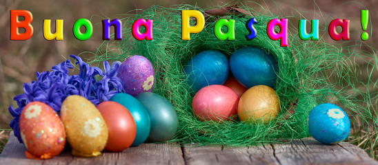 Easter eggs in nest on old wooden background with blue hyacinths flower and Text Buona Pasqua
