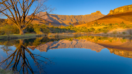 Drakensberg mountains of the amphitheatre reflected in a lake early on a mid-winter morning in...