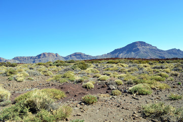 Teide Nationalpark Teneriffa