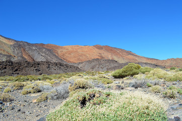 Teide Nationalpark Teneriffa