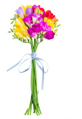Bouquet of fresh freesia flowers close up isolated on white background