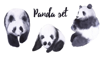 Set with panda bears. Isolated on white background. 