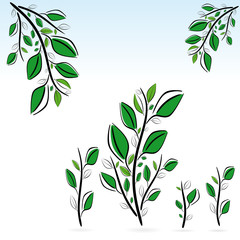 Decorative floral background with green plant