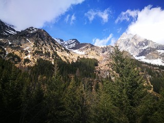 Blick auf Tribulaun vom Pflerschtal