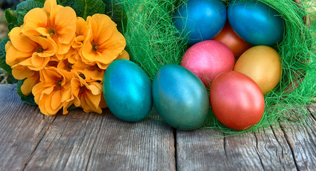 Fototapeta na wymiar Easter eggs in nest on old wooden background with yellow flower