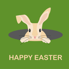Easter Bunny peeking out of a hole. Vector illustration eps 10