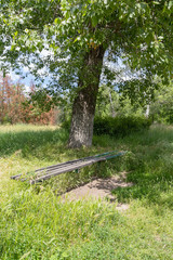 Old wooden bench under a tree in the park