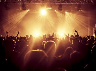 cheering crowd at a rock concert