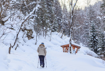 Woman get Nordic walking.   Resort Belokurikha. Altai, Russia