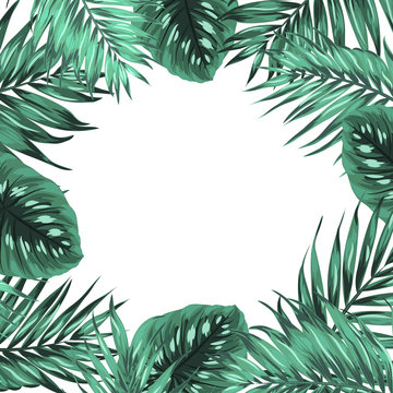 Exotic tropical jungle rainforest bright green palm tree and monstera leaves frame template with place for text on white background. Vector design illustration.