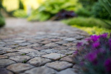 Obraz premium texture paving stones with grass