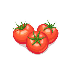 Three tomatoes isolated on white background. Tomato vector icon.